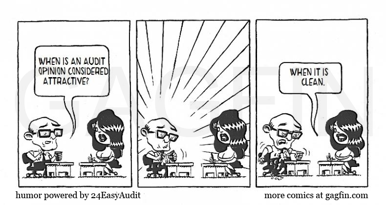 audit opinion