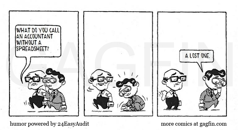 accountant