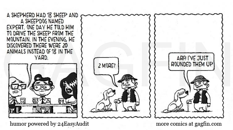 auditor