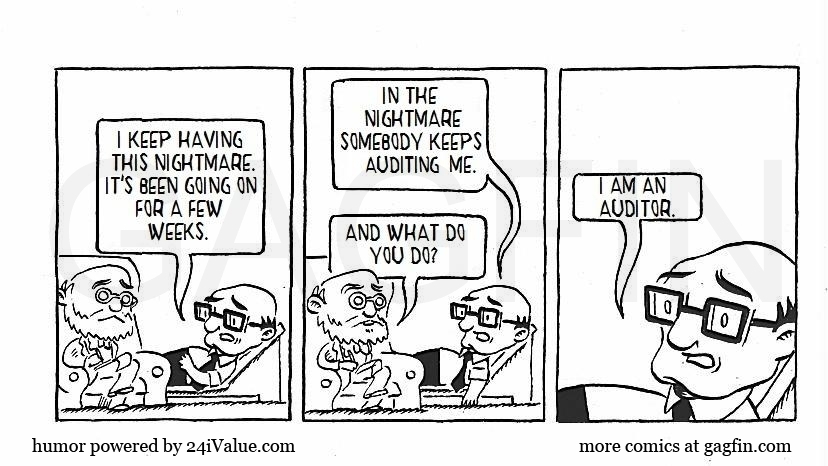 Who does examine the auditors?